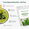Organic Beet Root Powder – Red Superfood Supplement for Drinks, Juice, Smoothies Recipes – All Natural, Vegan, Non GMO, Gluten Free, Kosher – Bulk 5 lb Size(Spinach)