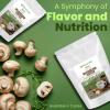 Organic Mushroom Coffee – Instant Superfood Mix of Lion’s Mane + Cordyceps + Chaga + Coffee – Lightly Sweetened With Cashew Milk + Stevia – Vegan Gluten Free – 1lb(Mushroom Coffee)