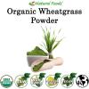 Organic Wheatgrass Powder – 100% Pure, Raw, Non-GMO, Vegan – Amazing Green Superfood For Smoothie, Juice, Shakes, Shots, Recipes – 6 oz