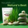 Organic Wheatgrass Powder – Bulk 5 lb Size – 100% Pure, Raw, Non-GMO, Vegan – Amazing Green Superfood for Smoothie, Juice, Shakes, Recipes – Natural Plant Protein Source(80 Ounce (Pack of 1))