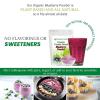 Premium Organic Acai Berry Powder – 1 lb – Freeze Dried Superfood – Grown In Brazil – Amazing Fruit Powder For Juice, Smoothie, Drink, Recipe, or Shake – Raw, Vegan, Gluten Free, Non GMO(Blueberry)
