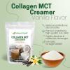 Z Natural Foods Collagen MCT Oil Creamer – Pure MCT Creamer Powder with Collagen Peptides – Collagen Creamer for Coffee, Tea & Culinary Use – Healthy Creamer, Keto & Paleo Friendly, Vanilla, 5 lb(Vanilla)