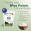 Z Natural Foods Grass-Fed Whey Protein Concentrate – Clean Whey Protein Powder from New Zealand – Cold Processed Pure Whey Protein with Essential Amino Acids for Nutrition & Fitness, Unflavored, 5 lbs(Unflavored)