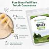 Z Natural Foods Grass-Fed Whey Protein Concentrate – Clean Whey Protein Powder from New Zealand – Cold Processed Pure Whey Protein with Essential Amino Acids for Nutrition & Fitness, Unflavored, 5 lbs(Unflavored)