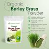 Z Natural Foods Organic Barley Grass Powder – USDA Organic Whole Food Green Blend for Energy Boost, Detox & pH Balance with Amino Acids, Minerals – Antioxidant Mix for Juice, Water, Smoothies, 1 lb(Barley Grass)