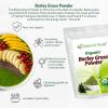 Z Natural Foods Organic Barley Grass Powder – USDA Organic Whole Food Green Blend for Energy Boost, Detox & pH Balance with Amino Acids, Minerals – Antioxidant Mix for Juice, Water, Smoothies, 1 lb(Barley Grass)