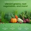 Z Natural Foods Organic Moringa Oleifera Leaf Powder, Organic Juice Powder Packed with Vitamins and Minerals, 100% Pure, Raw, Non GMO, Vegan, Kosher, 5 lbs(Moringa Oleifera Leaf)