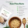 Z Natural Foods Organic Pine Nuts – Raw Nutrient-Dense Superfood Packed in Airtight Foil Pouches – Pure Pine Nut for Pesto, Trail Mix, Salad & Recipes – Vegan, Gluten-Free, Keto-Friendly Snacks, 1 lb(Organic Pine Nuts)