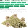 Z Natural Foods Organic Pumpkin Seed Protein Powder – Nutrient-Dense Fiber Supplement, Vegan Pumpkin Protein Powder for Hair Skin Nails Muscle Health – Ideal for Smoothies Shake Baking Recipes, 1 lb(Pumpkin Seeds)