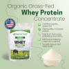 Z Natural Foods Organic Whey Protein Concentrate – Nutrient-Dense Grass Fed Whey Protein Powder – Cold Processed Pure Whey Protein with Essential Amino Acids for Nutrition & Fitness, Unflavored, 1 lb(Unflavored)