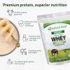 Z Natural Foods Organic Whey Protein Concentrate – Nutrient-Dense Grass Fed Whey Protein Powder – Cold Processed Pure Whey Protein with Essential Amino Acids for Nutrition & Fitness, Unflavored, 1 lb(Unflavored)