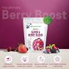 Z Natural Foods Super 8 Berry Blend – Organic Freeze Dried Berry Powder, Fruit Superfood Powder – Delicious Powdered Fruit Berry, Antioxidant Powder for Smoothies, Yogurts, Healthy Drink Mix, 1 lb(1 Pound (Pack of 1))