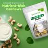 Z Natural Foods Unsweetened Cashew Milk Powder – Plant/Nut Milk For Healthy Heart, Bones, Skin – Substitute for Cashew Butter – Gluten-Free, Kosher, Non-GMO, Vegan, Dairy-Free, 1 lb(Cashew Milk)