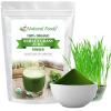 Z Natural Foods Organic Barley Grass Juice Powder – Made in USA, USDA Organic Nutrient-Dense Green Drink Mix for Energy, Detox with Amino Acids – Antioxidant Juice Blend for Water, Smoothies, 1 lb(Barley Grass)